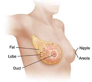 girls developing breast buds