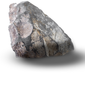 Image of a small rock