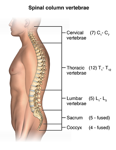 Low Back Pain, Lakeland Pain Management